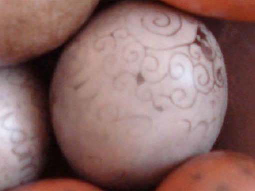 Ceramics