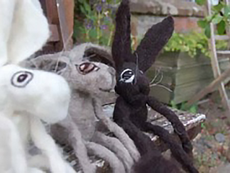 House of Hares
