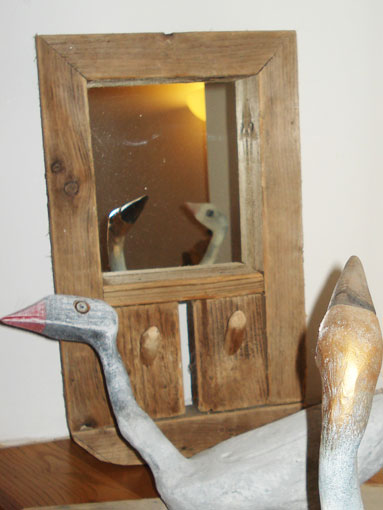 Ducks in Mirror