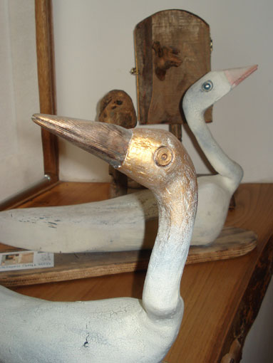 Ducks