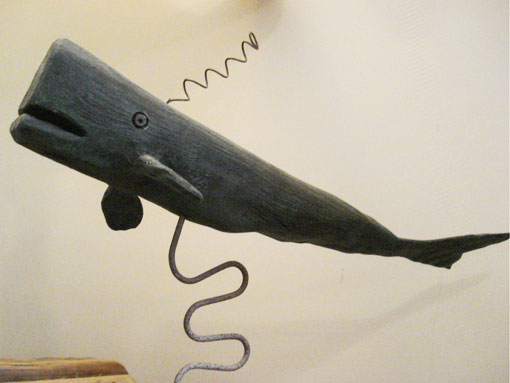 Whale