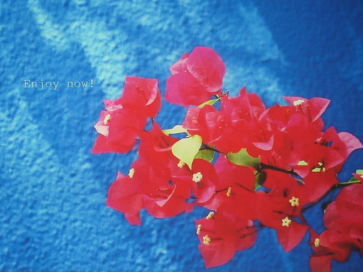 Canvas print from original photograph