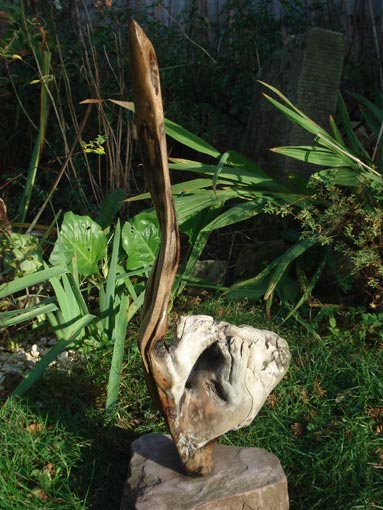 Bird Sculptures in Wood