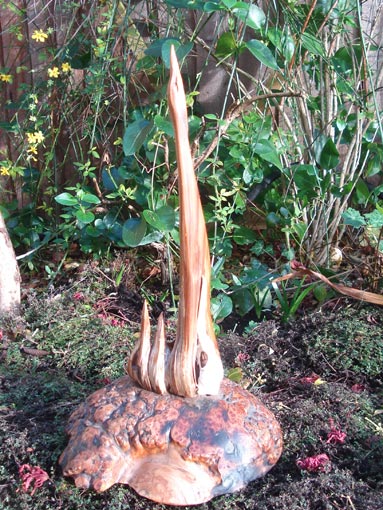 Bird Sculptures in Wood
