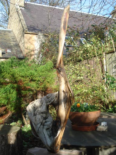 Bird Sculptures in Wood