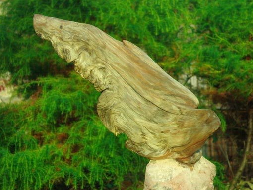 Bird Sculptures in Wood